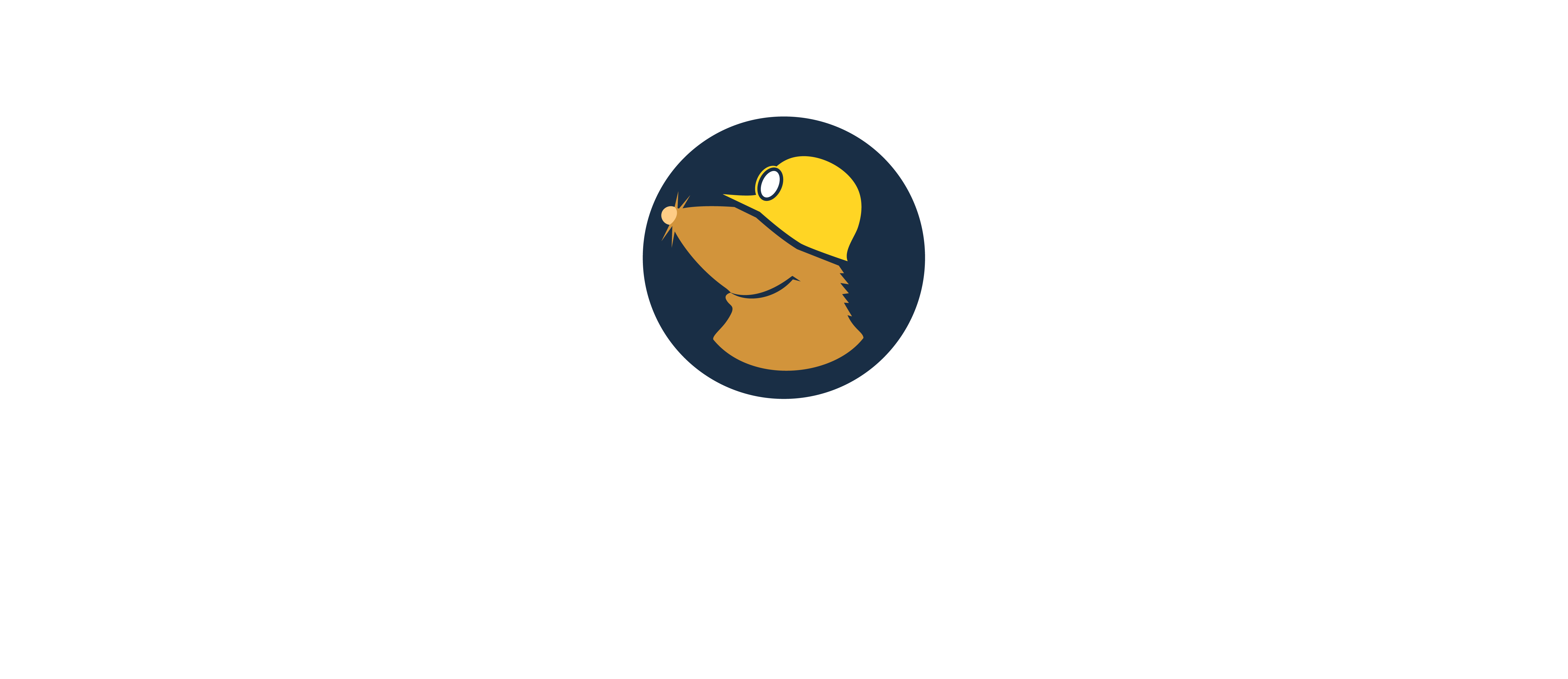 Mullvad VPN (1 Month) Product Image